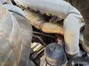 2023 Zoomlion ZT115A -26115