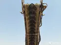 2018 Caterpillar PM620-29449