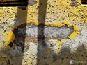 2013 Caterpillar 226B3-44315