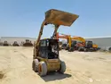 2013 Caterpillar 226B3-44319
